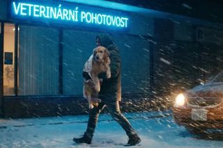 Veterinář, nebo exekutor? Drsná realita roku 2026, kterou vám pojišťovny u psů zatajují - Médium.cz